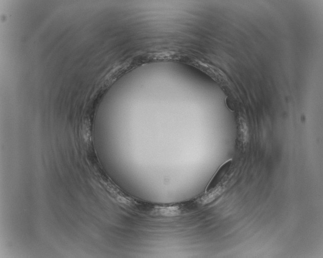X0000073910665200609082214