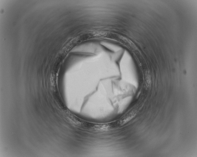 X0000073910667200609082214