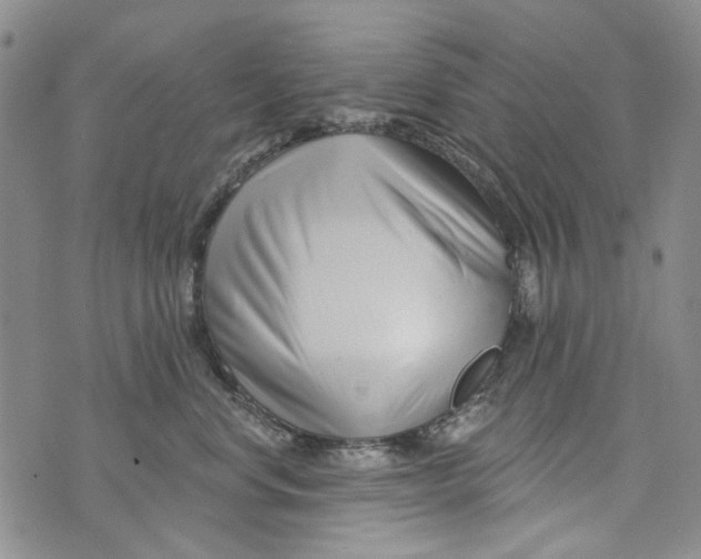 X0000073910668200609082214