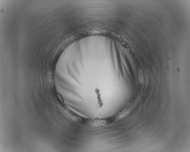 X0000073910670200609082214