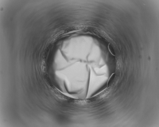 X0000073910671200609082214