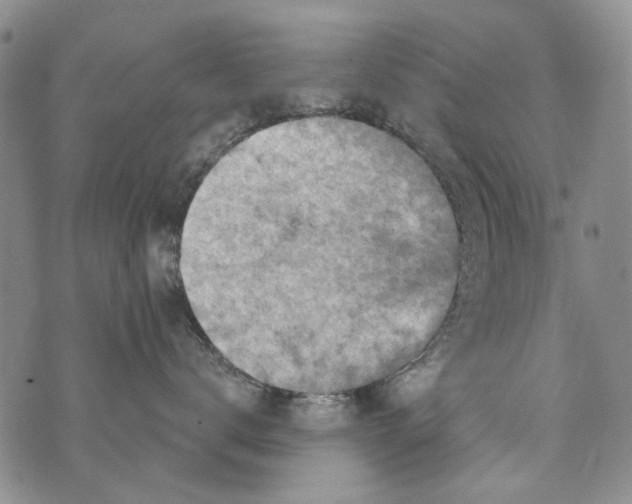 X0000073910672200609082214