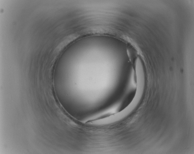 X0000073910673200609082213