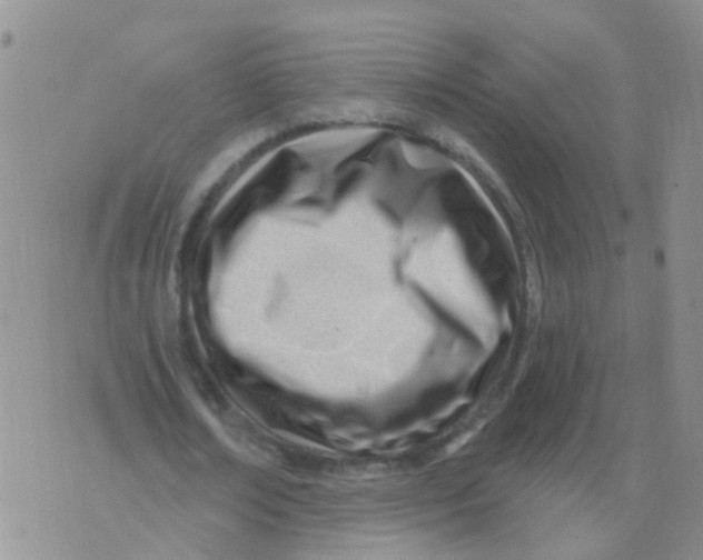 X0000073910674200609082213