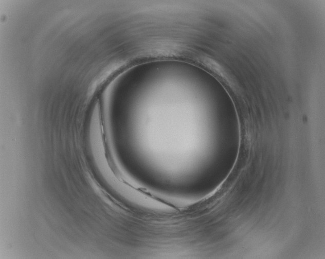 X0000073910677200609082213