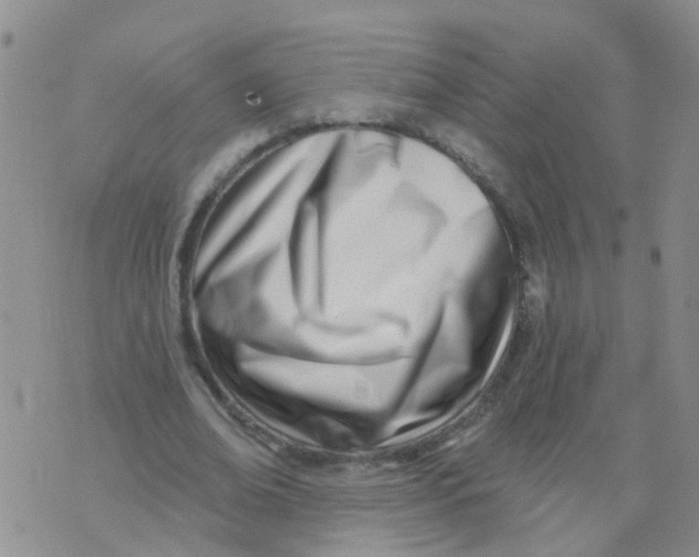 X0000073910678200609082213