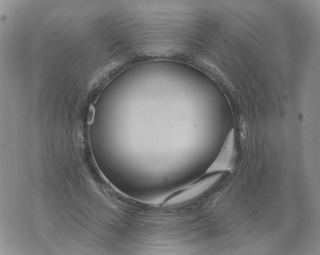 X0000073910688200609082213