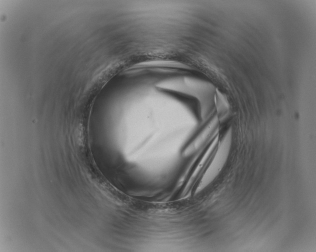 X0000073910689200609082213