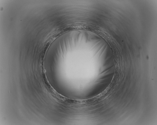 X0000073910696200609082213
