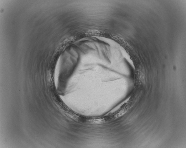 X0000073910711200609082213