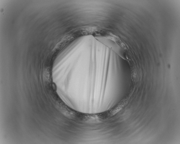 X0000073910715200609082213