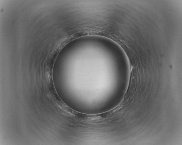 X0000073910716200609082213