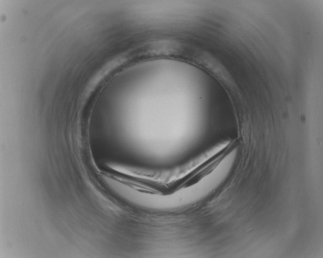 X0000073910722200609082212