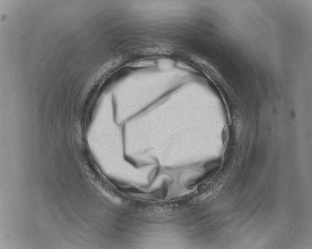 X0000073910729200609082212