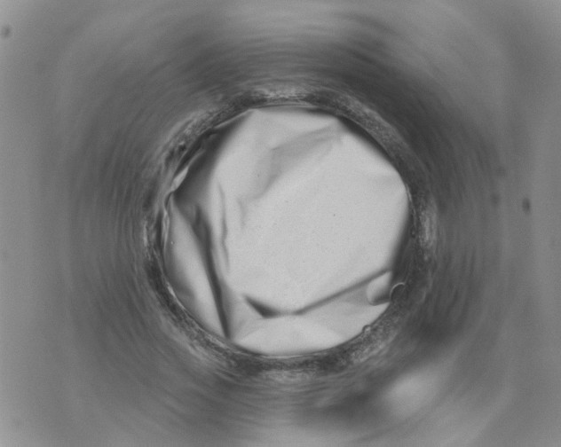 X0000073910733200609082212