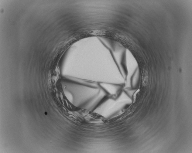 X0000073910748200609082212