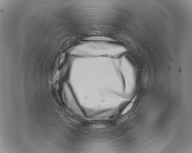X0000073910749200609082212