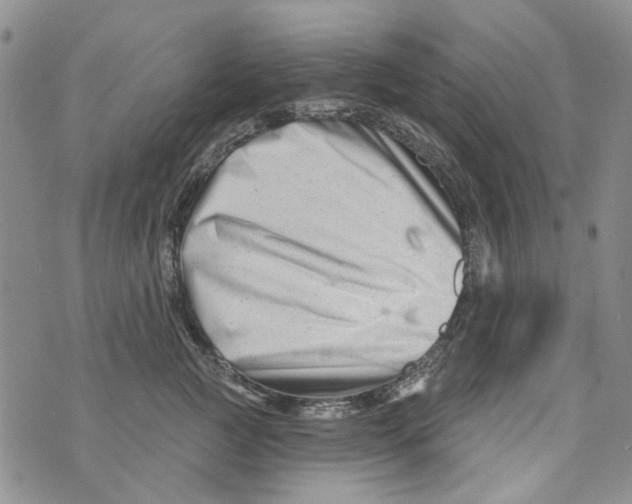 X0000073910761200609082212