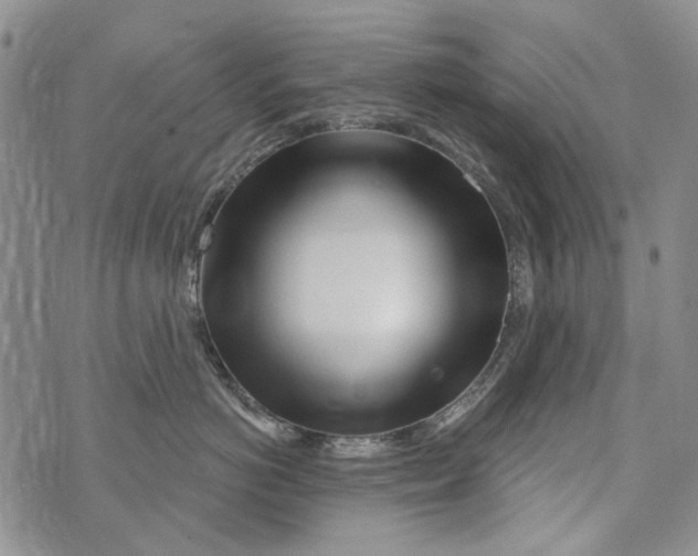 X0000073910766200609082213