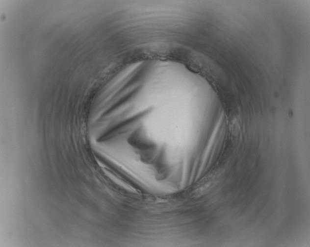 X0000073910772200609082212