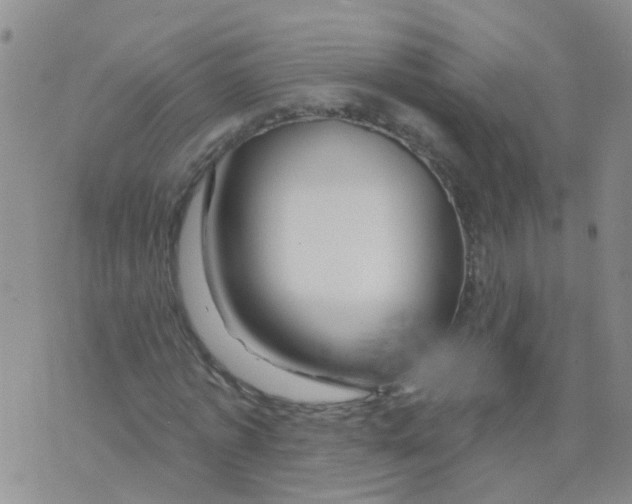 X0000073910773200609082212