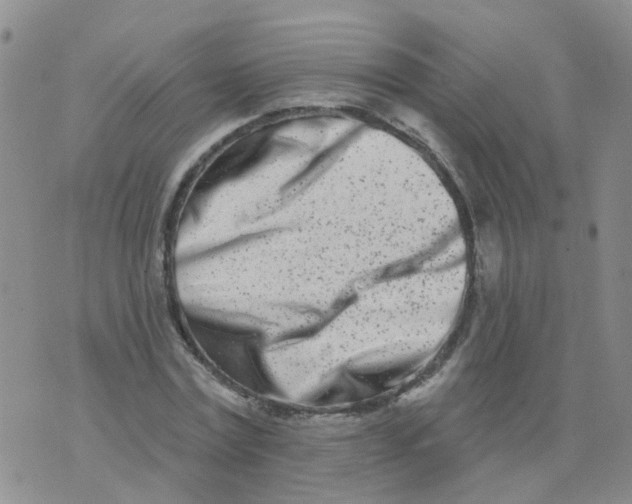 X0000073910779200609082212