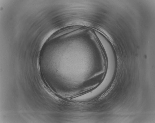 X0000073910788200609082211