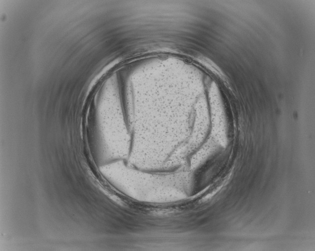 X0000073910790200609082211