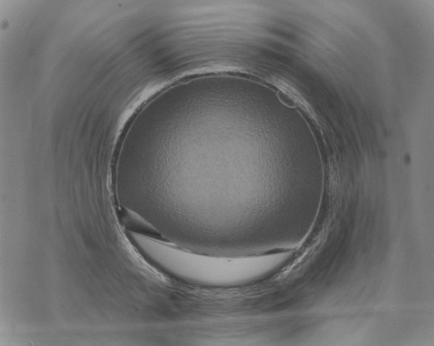 X0000073910797200609082211
