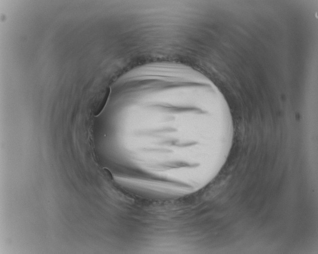 X0000073910817200609082210
