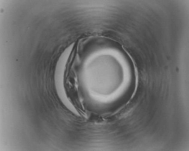 X0000073910818200609082210