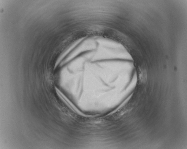 X0000073910819200609082210