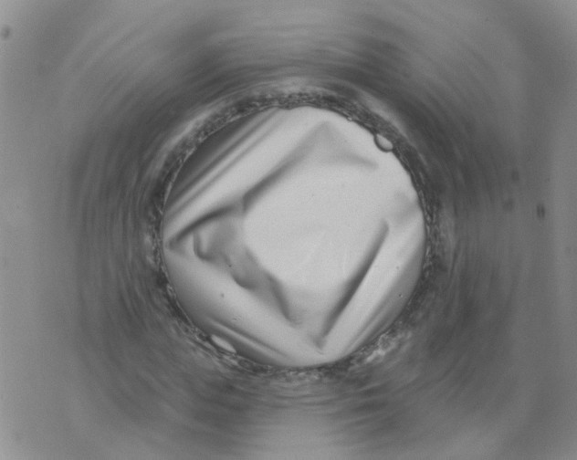 X0000073910823200609082210