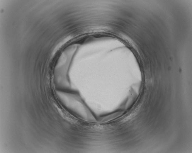 X0000073910827200609082210