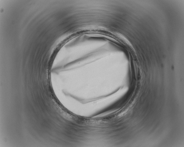 X0000073910831200609082210
