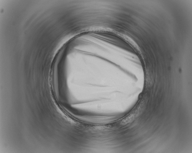 X0000073910847200609082211
