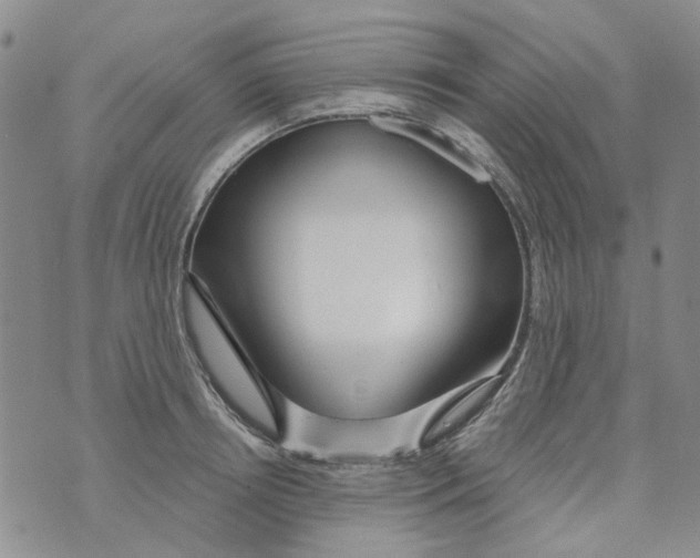 X0000073910850200609082211