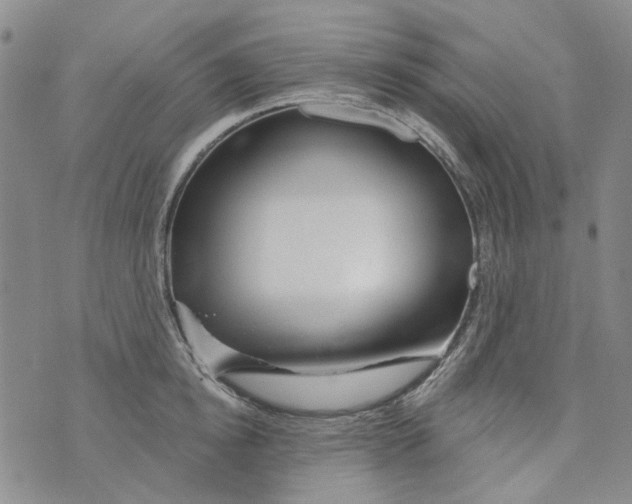 X0000073910854200609082211