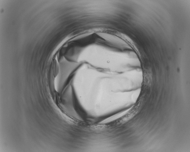 X0000073910859200609082211