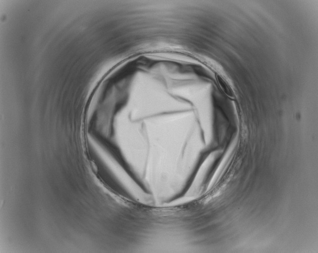 X0000073910863200609082211