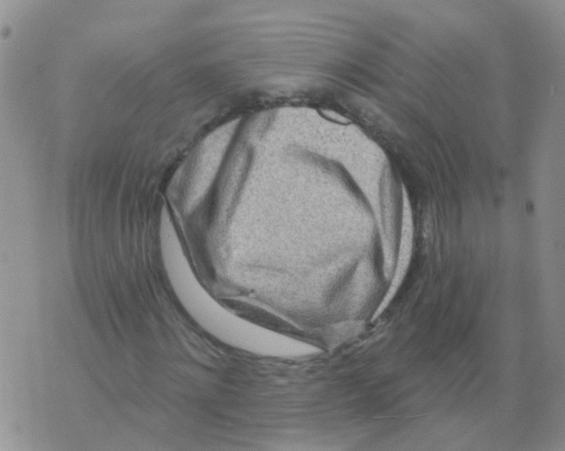 X0000073910868200609082210