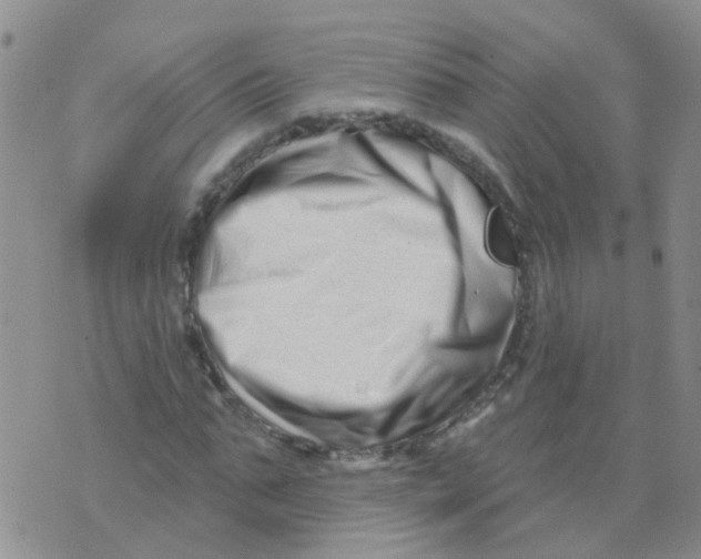 X0000073910871200609082210