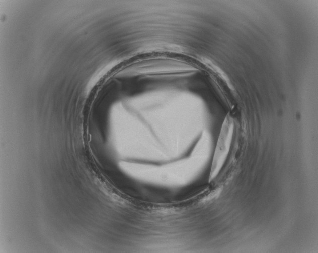 X0000073910877200609082210