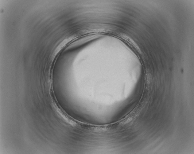 X0000073910890200609082210
