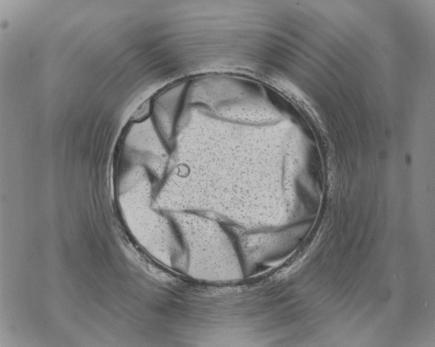 X0000073910892200609082210