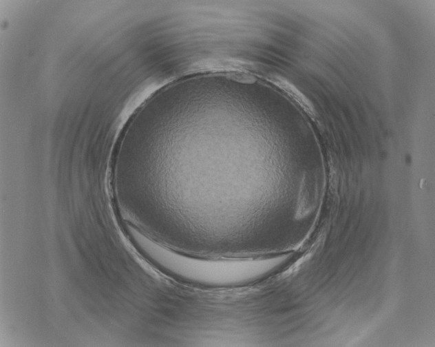 X0000073910893200609082210