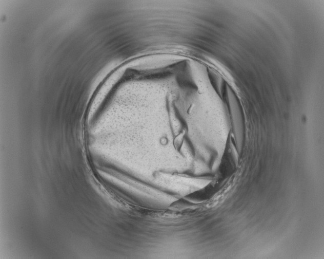 X0000073910907200609082210