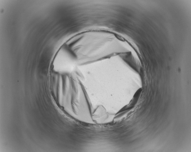 X0000073910911200609082209