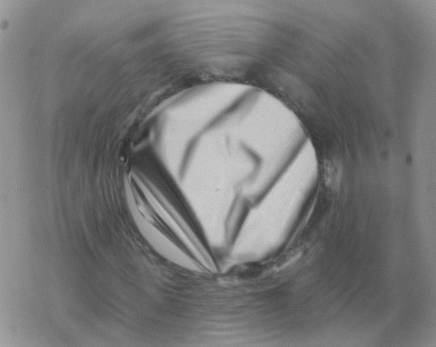 X0000073910915200609082209