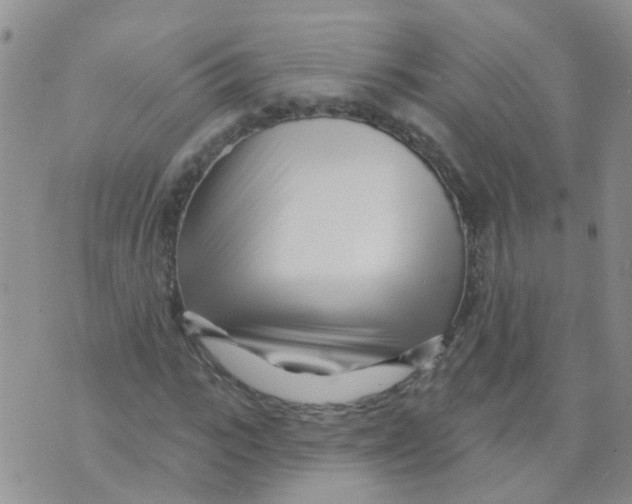 X0000073910919200609082209